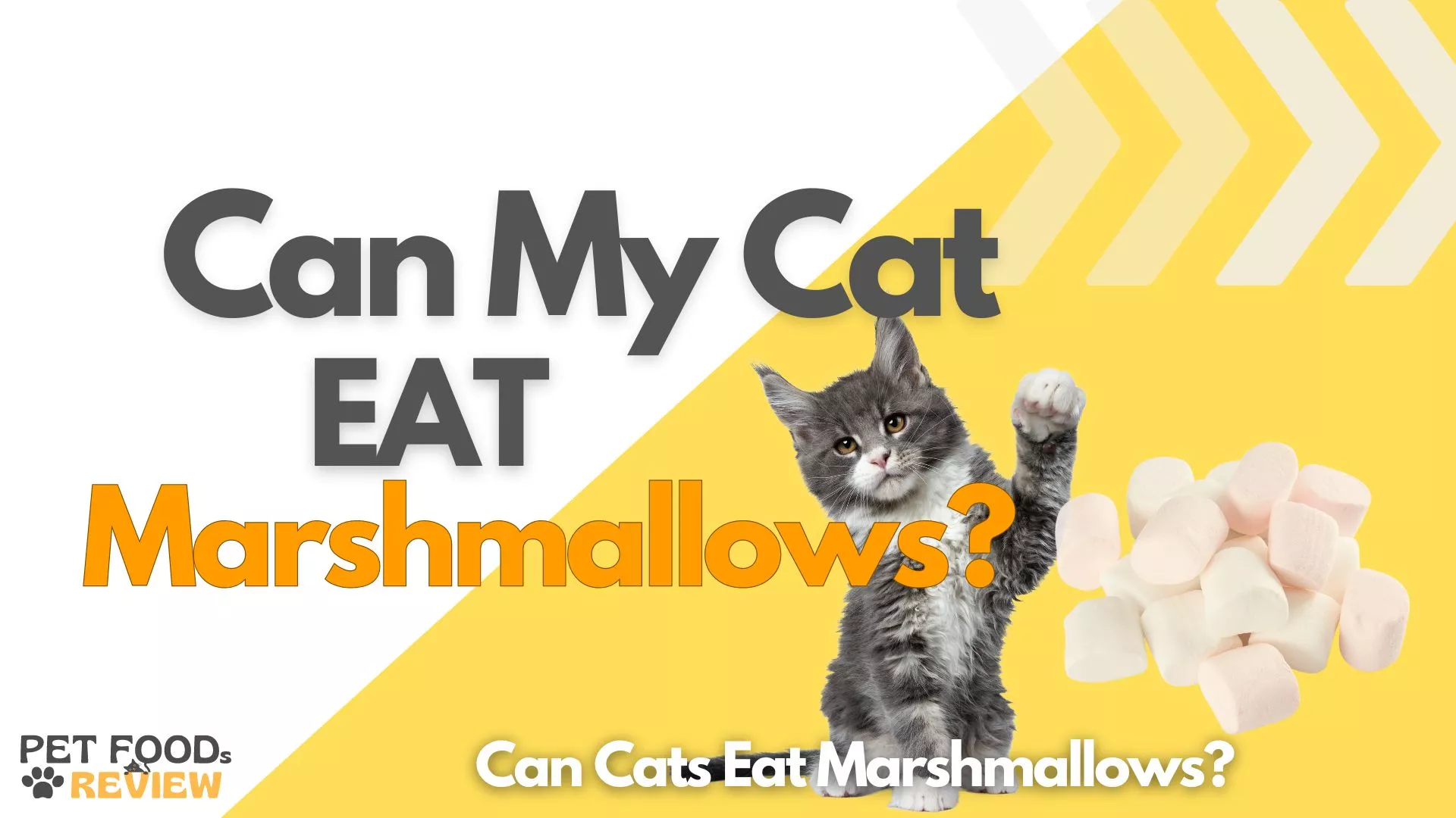 Can Cats Eat Marshmallows?