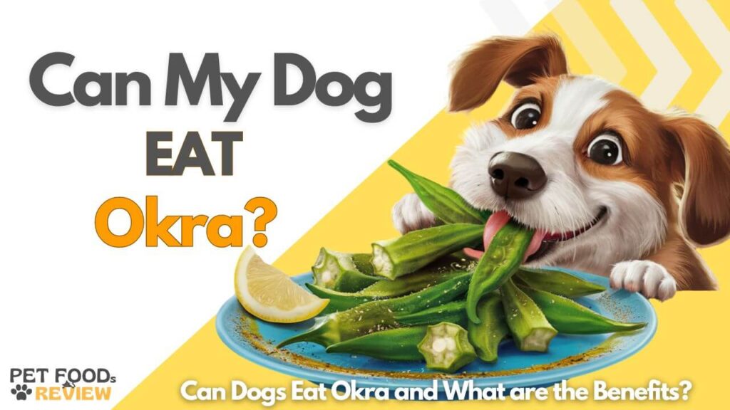 Can Dogs eat Okra