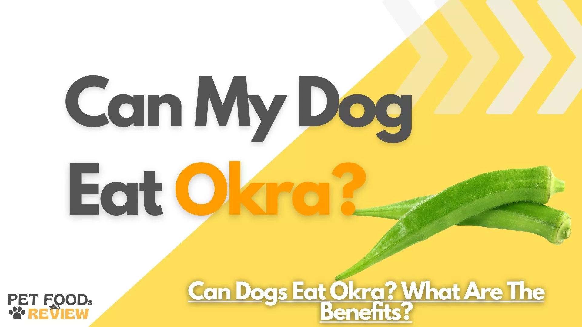 Unveiling the Truth: Can Dogs Eat Okra and What are the Benefits?