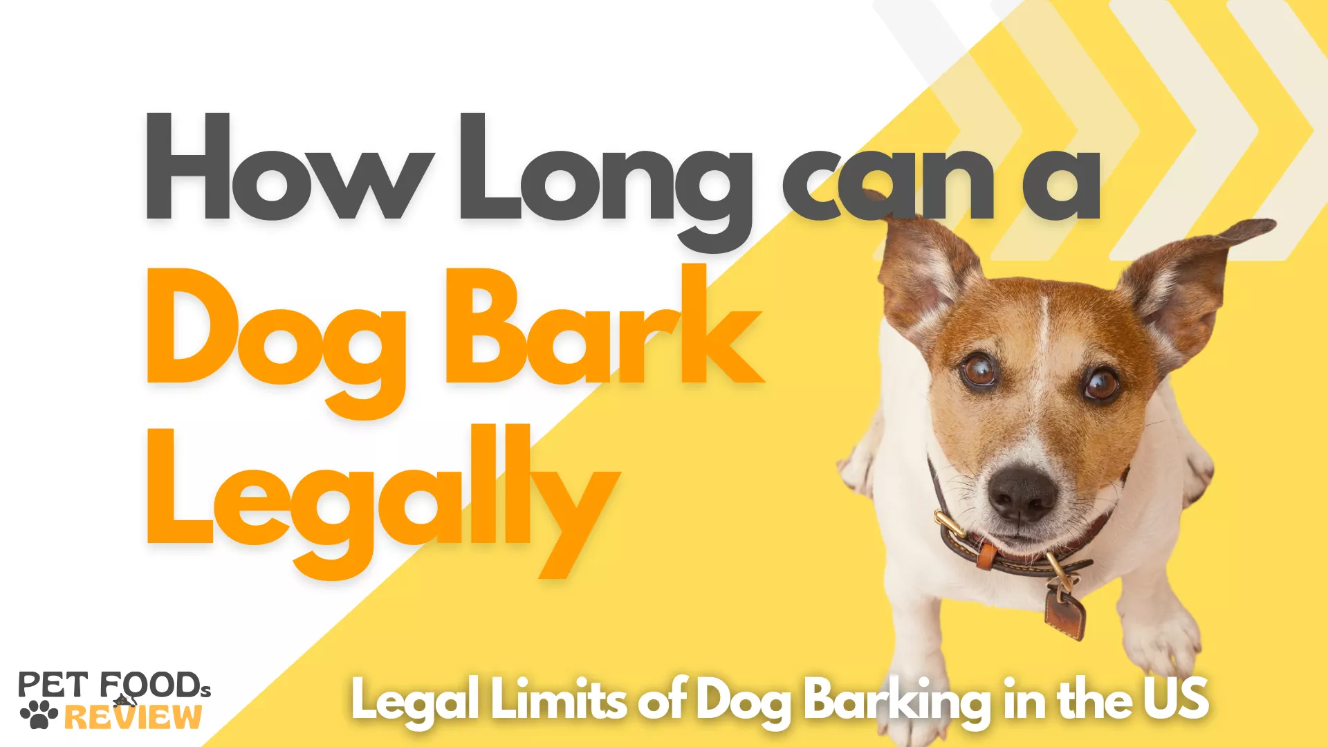 Understanding the Legal Limits of Dog Barking in the US