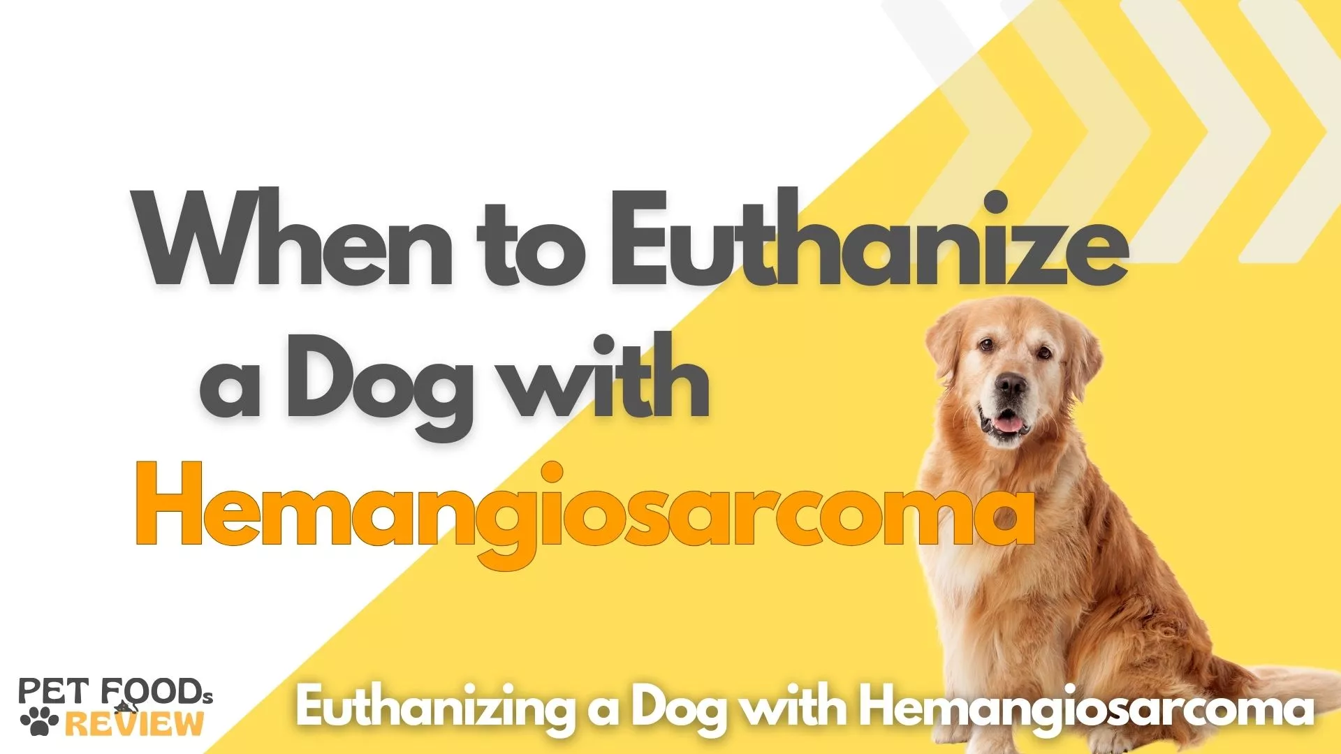 When to Euthanize a dog with Hemangiosarcoma