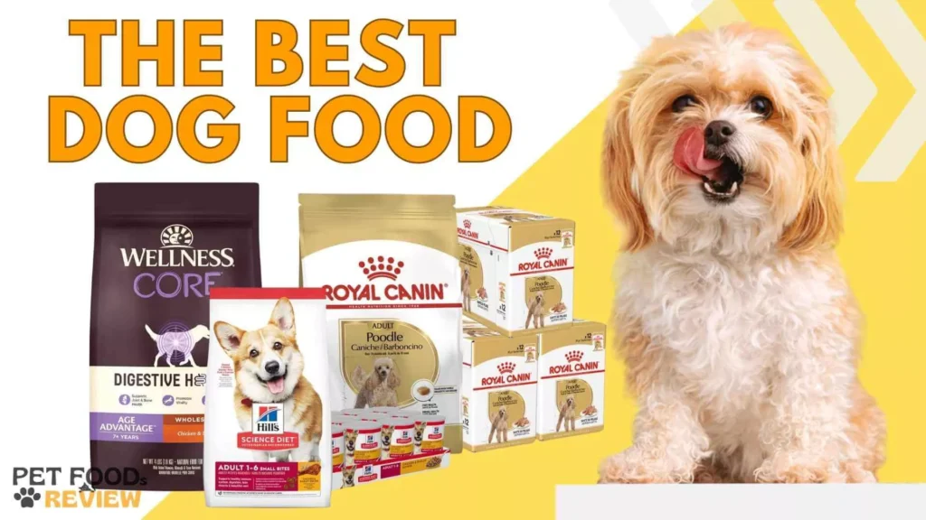 The Best Dog Foods