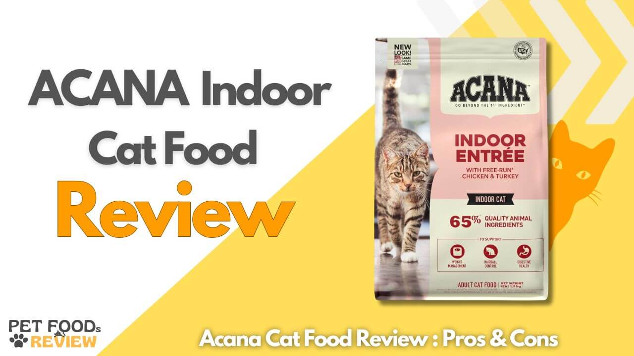 Acana Indoor Enter Cat Food Review 2024