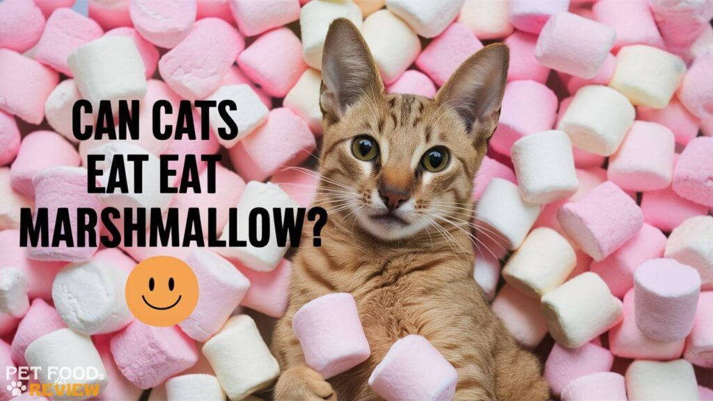 Can cats eat marshmallows