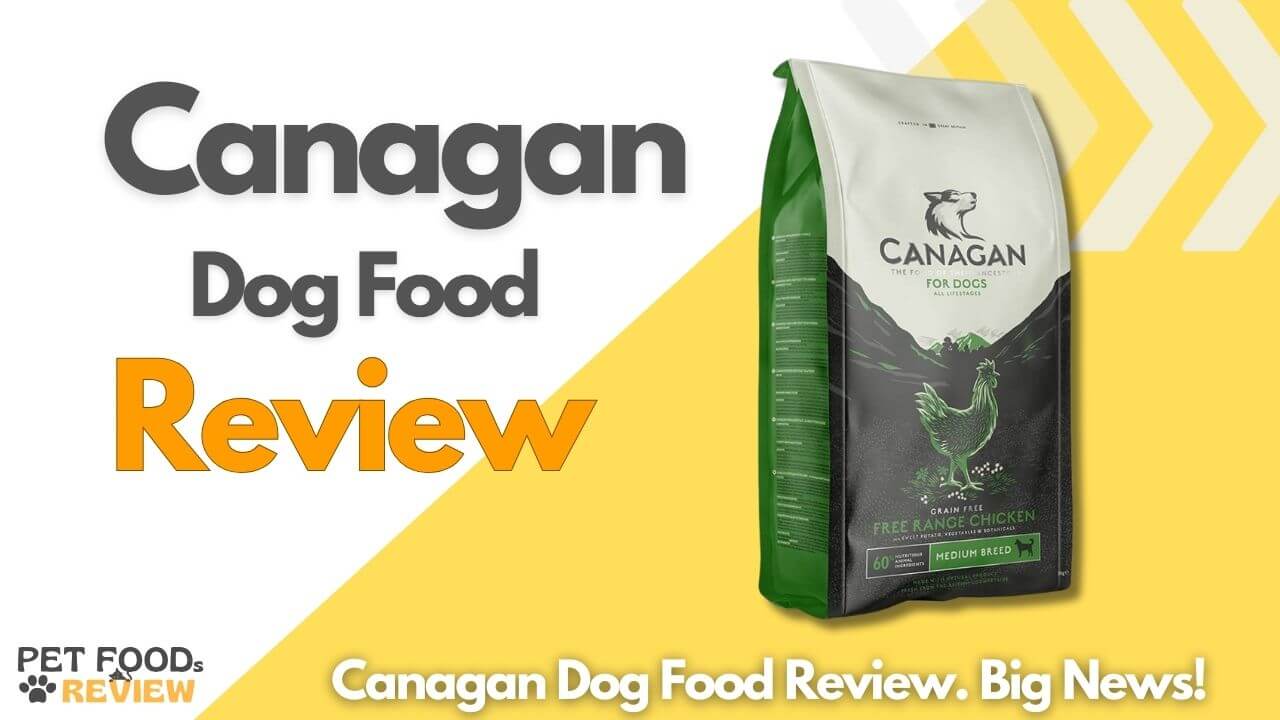 Canagan Dog Food Review 2024 Big News!