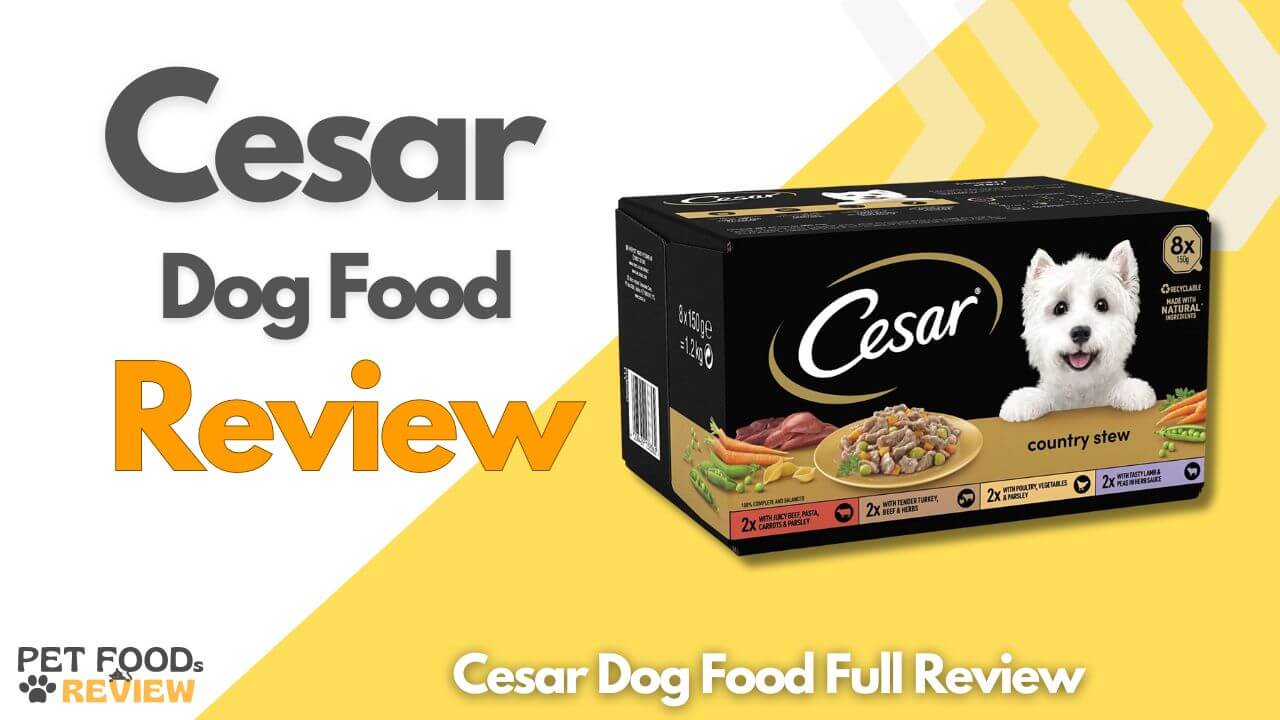 Cesar Dog Food Full Review 2024