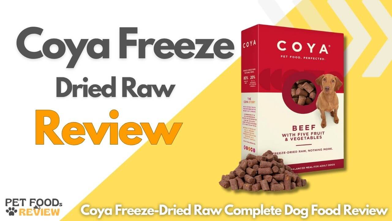 Coya Freeze-Dried Raw Dog Food Review 2024