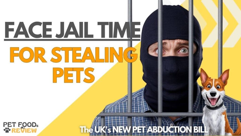 FACE JAIL TIME For Stealing Pets