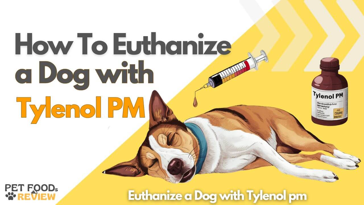 How to Euthanize a Dog with Tylenol pm