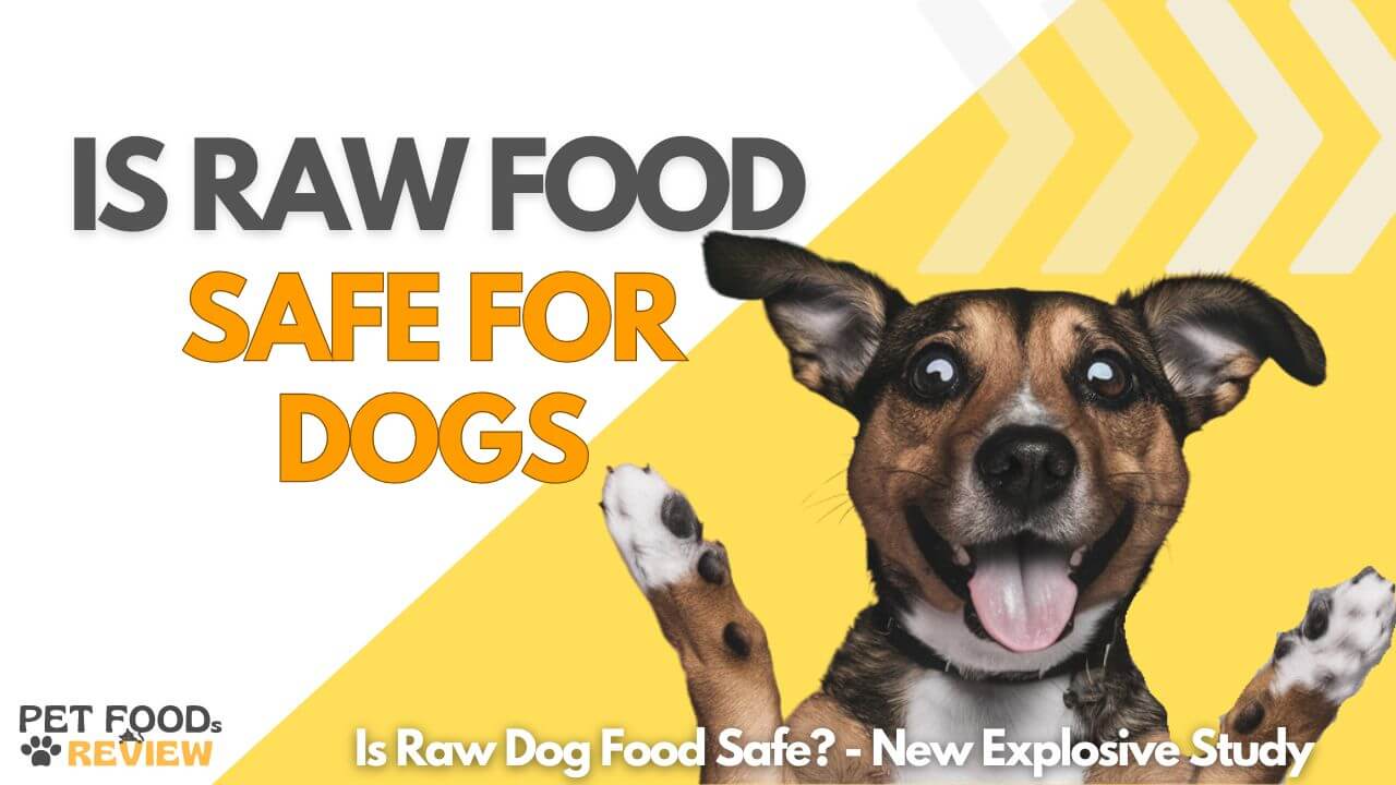 Is Raw Dog Food Safe? – New Explosive Study