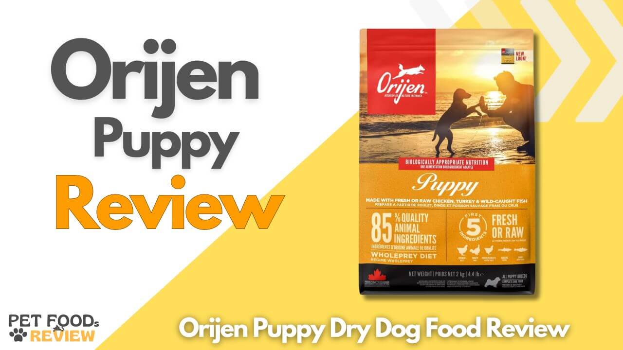 Orijen Puppy Dry Dog Food Review