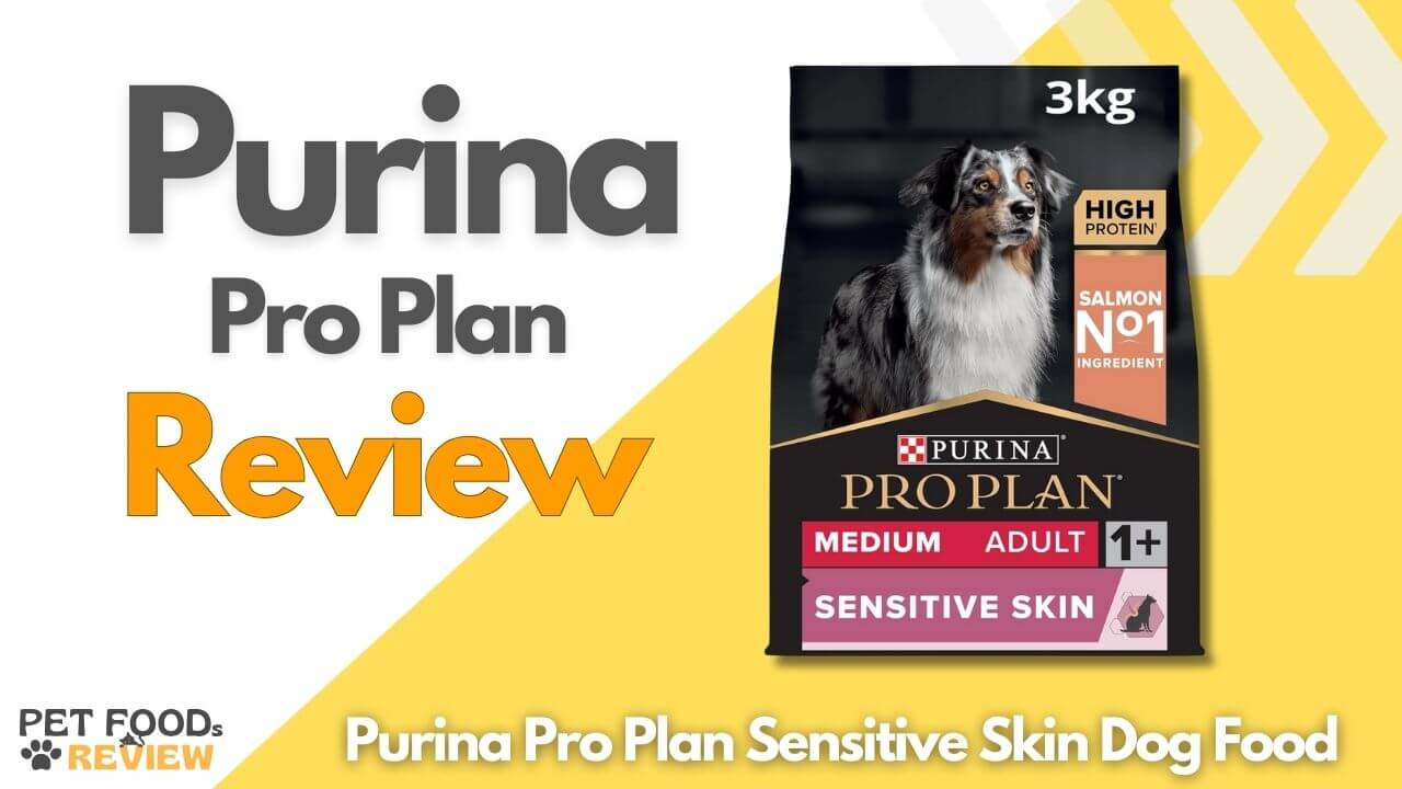 Purina Pro Plan Dog Food Full Review 2024