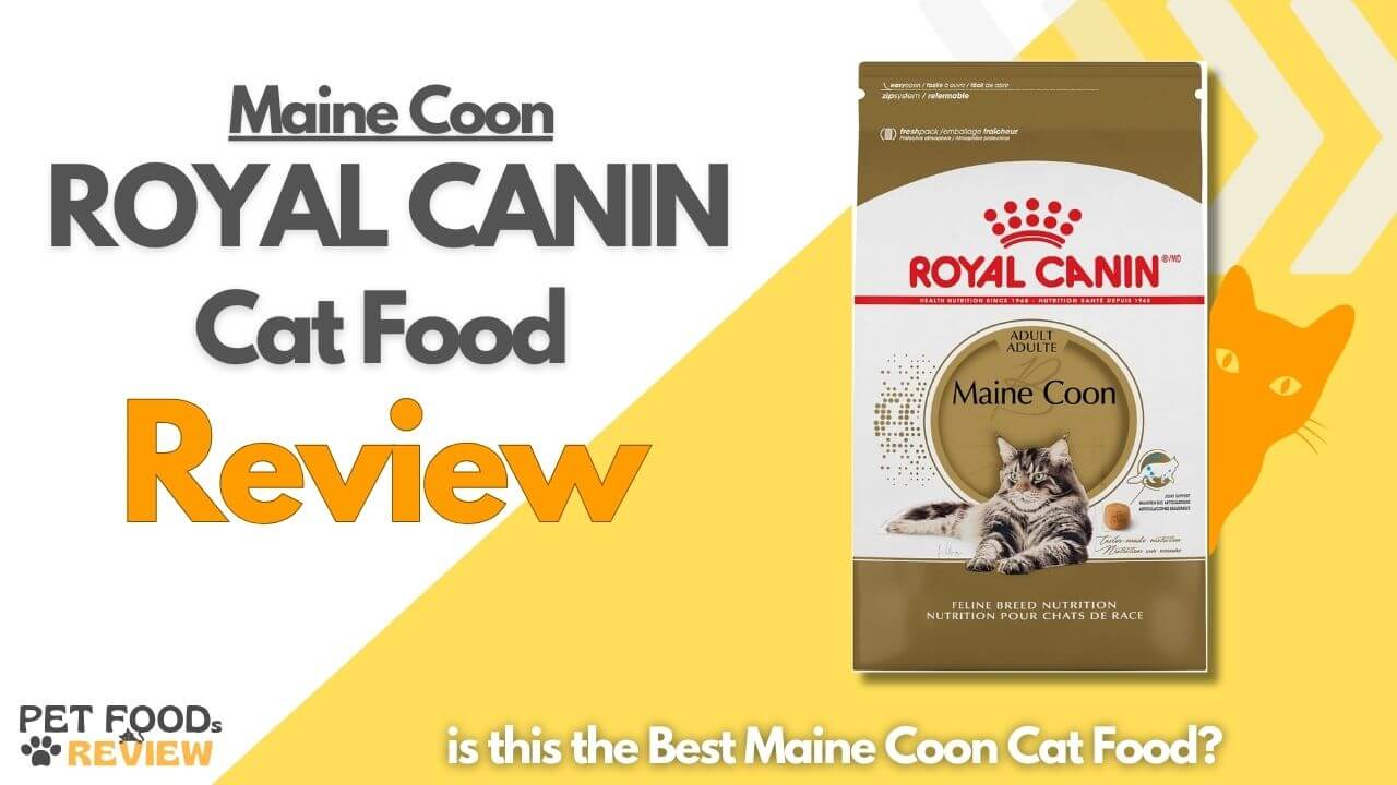 ROYAL CANIN Maine Coon Cat Food Review