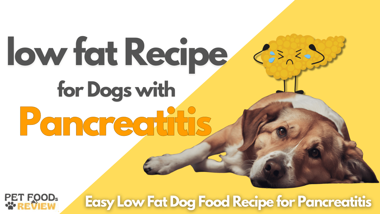 low fat Recipe for dogs with Pancreatitis